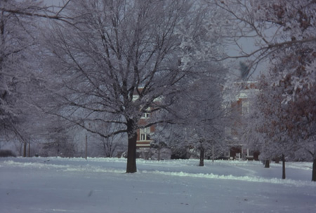 11 Winter Campus