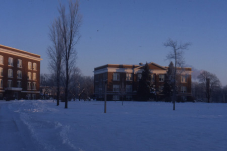 14 Winter Lawn