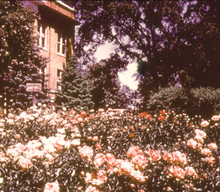 16 Spring Ad Bldg